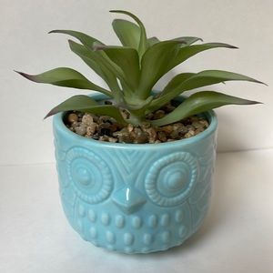 Owl ceramic planter with faux succulent. New